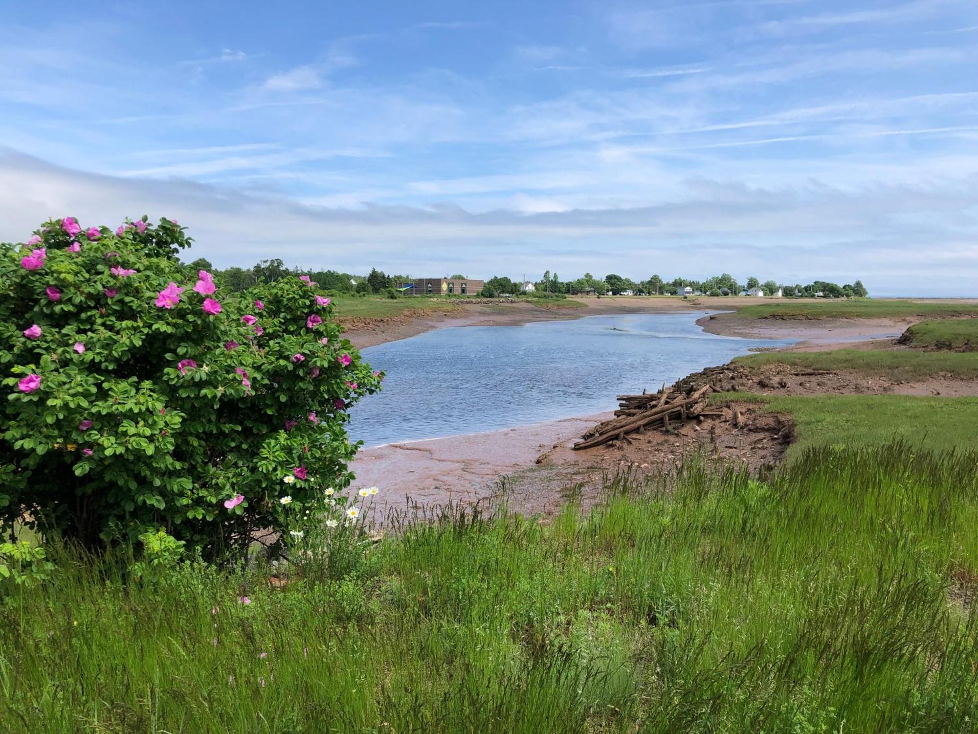 Pleasant Street Inn Parrsboro Buitenkant foto