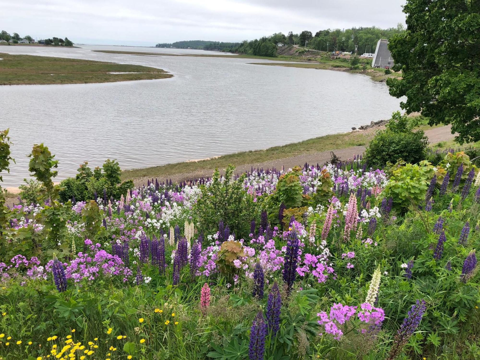 Pleasant Street Inn Parrsboro Buitenkant foto